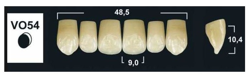 [GBVO54-BL3] VO54 BL3 UPPER ANTERIOR TRIBOS TEETH