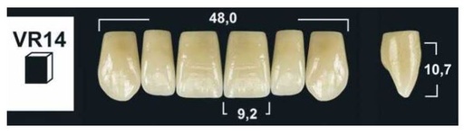 [GBVR14-BL3] VR14 BL3 UPPER ANTERIOR TRIBOS TEETH