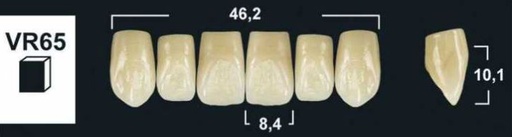 [GBVR65-A2U] VR65 A2 UPPER ANTERIOR TRIBOS TEETH
