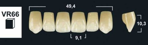 [GBVR66-B4U] VR66 B4 UPPER ANTERIOR TRIBOS TEETH