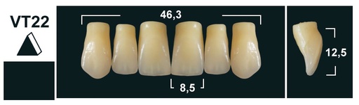 [GBVT22-C3U] VT22 C3 UPPER ANTERIOR TRIBOS TEETH