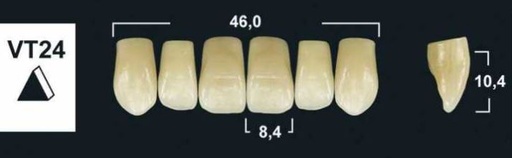 [GBVT24-D3U] VT24 D3 UPPER ANTERIOR TRIBOS TEETH