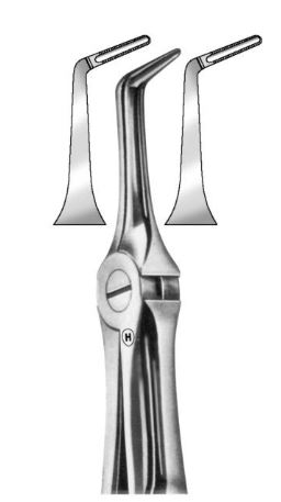 [HMHSA06546] EXTRACTION FORCEPS LOWER ROOTS 46