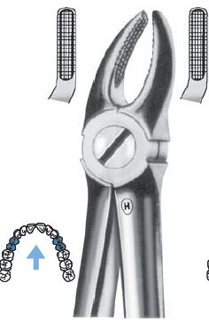 [HMHSA10207] EXTRACTION FORCEPS UPPER PREMOLAR FIG 7