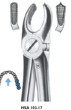 [HMHSA10317] EXTRACTION FORCEPS UPPER MOLAR RIGHT 17