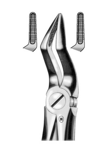 [HMHSA10551] EXTRACTION FORCEPS UPPER ROOT 51