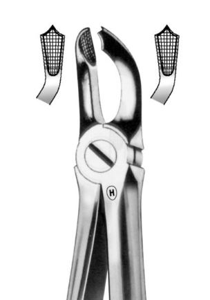[HMHSA12079] EXTRACTION FORCEPS LOWER WISDOM 79