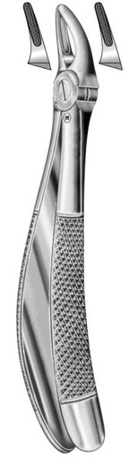 [HMHSA32130] EXTRACTION FORCEPS CHILD UPP PREMOLAR 30S