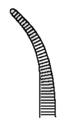 [HMHSE01712] ARTERY FORCEPS MICRO HALSTED CURVED 125MM