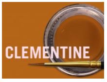 [JSCM0863] MIYO TRANS CLEMENTINE FLUOR PASTE 4G