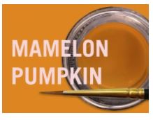 [JSCM0868] MIYO MAMELON PUMPKIN FLUOR PASTE 4G
