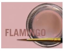 [JSCM0881] MIYO GINGIVAL FLAMINGO PASTE 4G