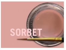 [JSCM0886] MIYO GINGIVAL SORBET PASTE 4G