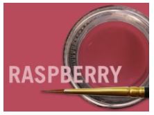 [JSCM0887] MIYO GINGIVAL TRANS RASPBERRY PASTE 4G