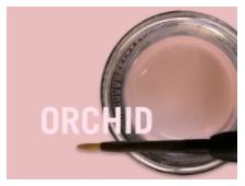 [JSCM0890] MIYO GINGIVAL STRUCTURE ORCHID PASTE 4G