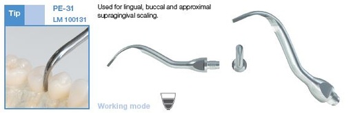 [LM100131] PERIO SCALER TIP 31