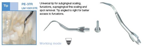 [LM100137R] FINE UNIVERSAL SCALER TIP 37 RIGHT