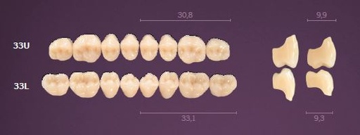 [MO33UB2] 33-B2 MONDIAL TEETH UPPER POSTERIOR