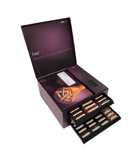 [MO66041207] MONDIAL SMALL ASSORTMENT CASE 6/8 A2/A3