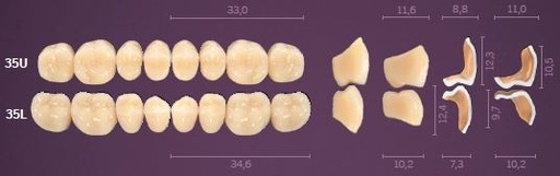 [MOI35UA1] 35-A1 IDEALIS TEETH UPPER POSTERIOR