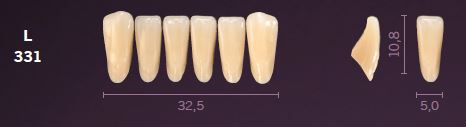 [MOL331C3] L331-C3 MONDIAL TEETH LOWER ANTERIOR