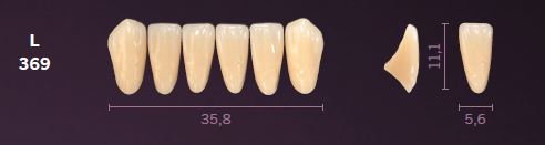 [MOL369A4] L369-A4 MONDIAL TEETH LOWER ANTERIOR