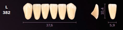 [MOL382D2] L382-D2 MONDIAL TEETH LOWER ANTERIOR