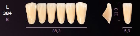 [MOL384C4] L384-C4 MONDIAL TEETH LOWER ANTERIOR
