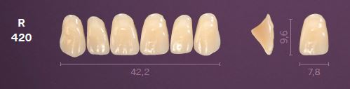 [MOR420B3] R420-B3 MONDIAL TEETH UPPER ANTERIOR