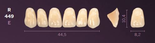 [MOR449A4] R449-A4 MONDIAL TEETH UPPER ANTERIOR