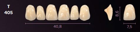[MOT405A2] T405-A2 MONDIAL TEETH UPPER ANTERIOR