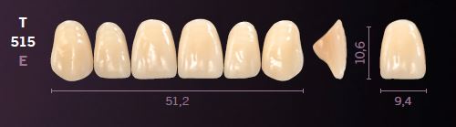 [MOT515C2] T515-C2 MONDIAL TEETH UPPER ANTERIOR