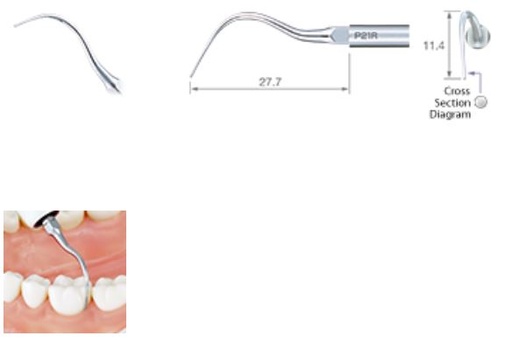 [NKZ291422] NSK ULTRASONIC PERIO TIP P21R-E FOR EMS