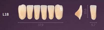 [PRL18-B3] L18-B3 PREMIUM TEETH LOWER ANTERIOR