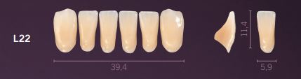 [PRL22-B3] L22-B3 PREMIUM TEETH LOWER ANTERIOR