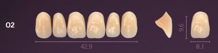 [PRO2-C2] O2-C2 PREMIUM TEETH UPPER ANTERIOR
