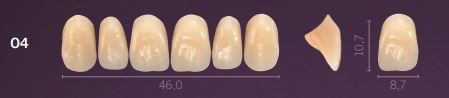 [PRO4-B2] O4-B2 PREMIUM TEETH UPPER ANTERIOR