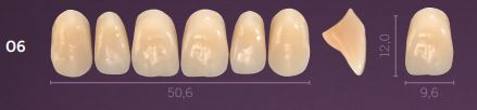 [PRO6-C2] O6-C2 PREMIUM TEETH UPPER ANTERIOR