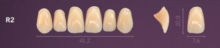 [PRR2-C1] R2-C1 PREMIUM TEETH UPPER ANTERIOR