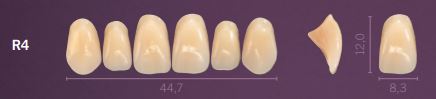 [PRR4-B4] R4-B4 PREMIUM TEETH UPPER ANTERIOR