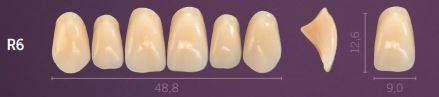 [PRR6-B4] R6-B4 PREMIUM TEETH UPPER ANTERIOR