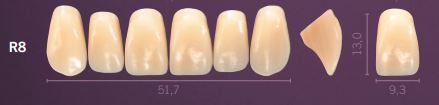 [PRR8-D2] R8-D2 PREMIUM TEETH UPPER ANTERIOR
