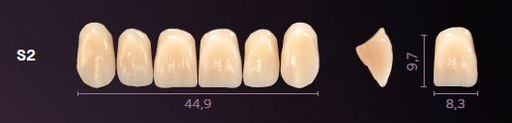 [PRS2-BL2] S2-BL2 PREMIUM TEETH UPPER ANTERIOR