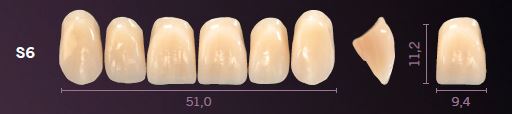 [PRS6-BL3] S6-BL3 PREMIUM TEETH UPPER ANTERIOR
