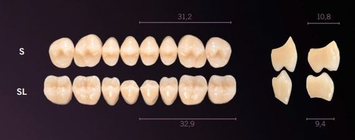 [PRS-B1U] S-B1U PREMIUM TEETH UPPER POSTERIOR