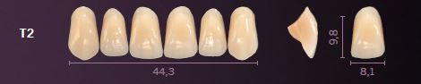 [PRT2-B1] T2-B1 PREMIUM TEETH UPPER ANTERIOR