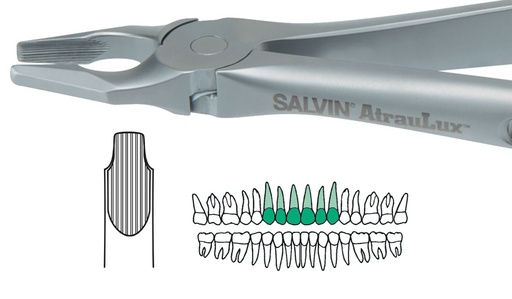 [SAATRAU1] ATRAULUX UPPER ANT FORCEP 1