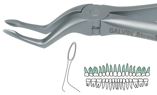 [SAATRAU6] ATRAULUX UPPER ROOT FORCEP 6