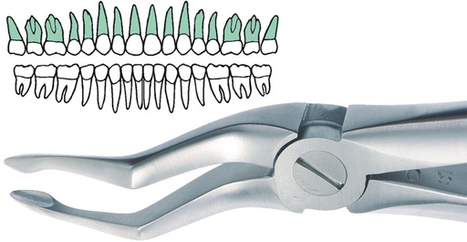 [SABERNARD153] BERNARD BAYONET EXTRACTION FORCEP 153