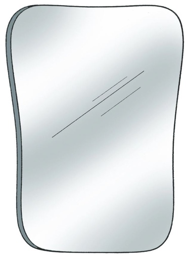 [SAPHOTOOCCA] PHOTO MIRROR OCCLUSAL ADULT